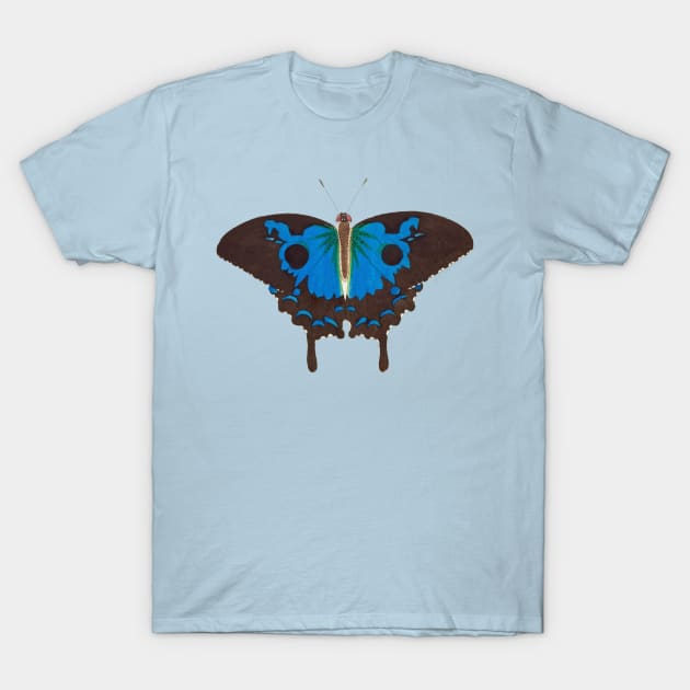 Stunning Blue Black Diomedes Butterfly T-Shirt by RedThorThreads